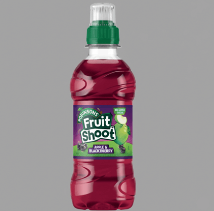 Blackcurrant Fruit Shoot 
